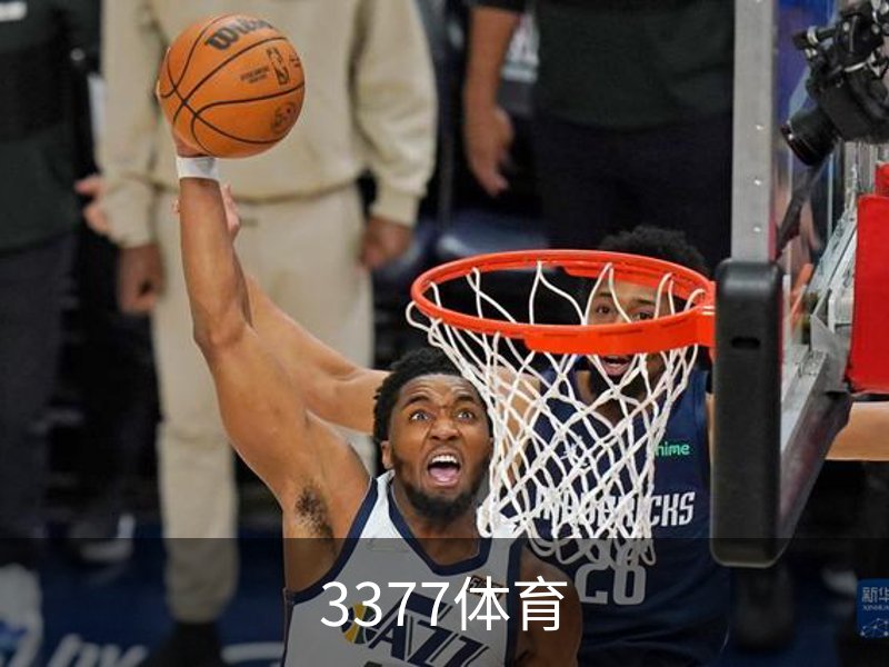 3377体育简介